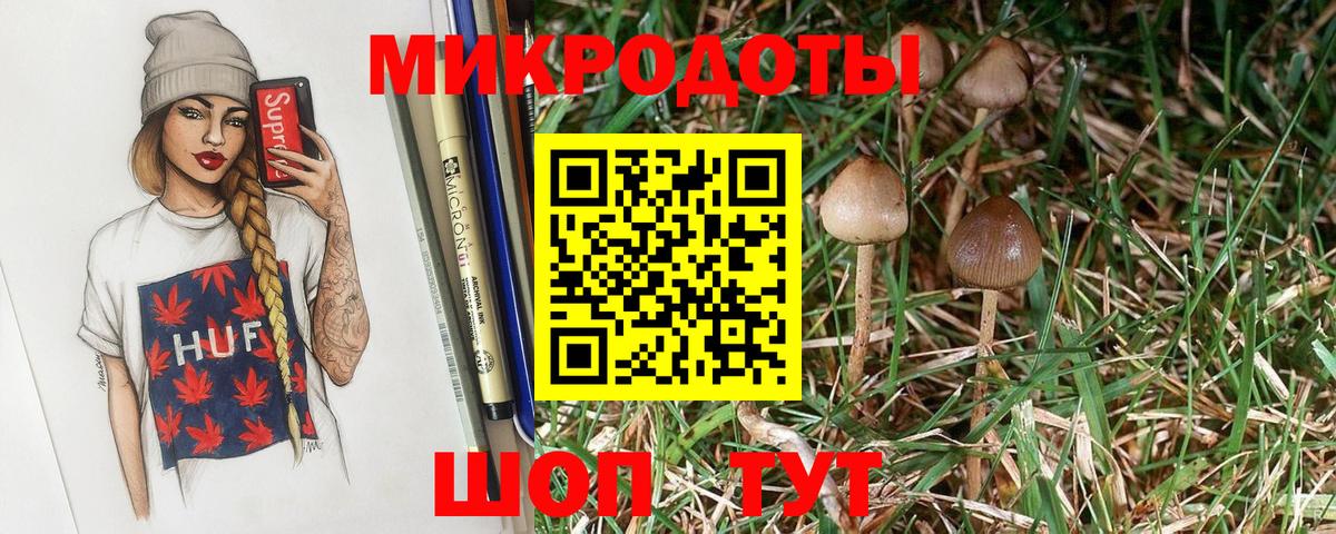 Галлюциногенные грибы Psilocybine cubensis Лысьва