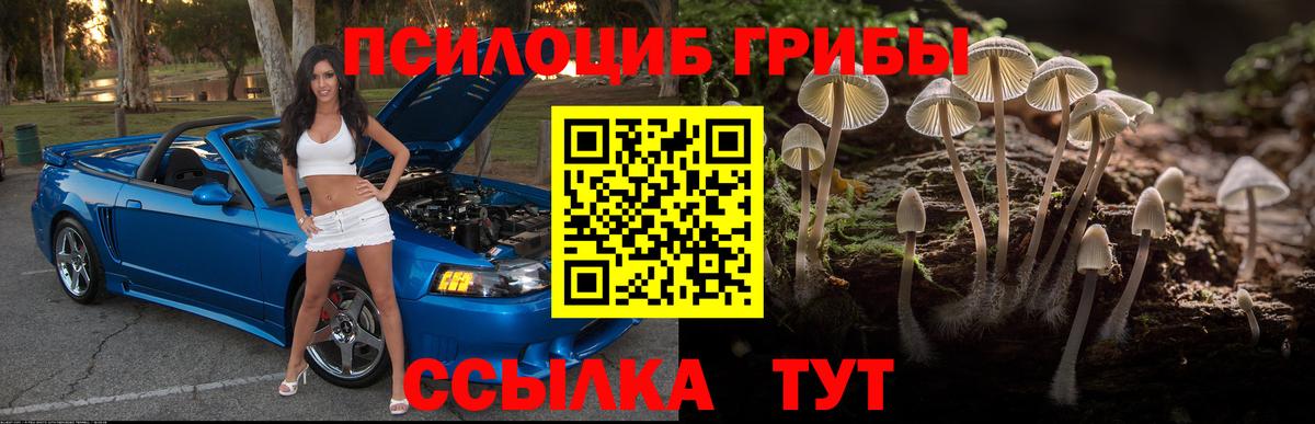 Лысьва  Псилоцибиновые грибы прущие грибы  Вход с VPN 